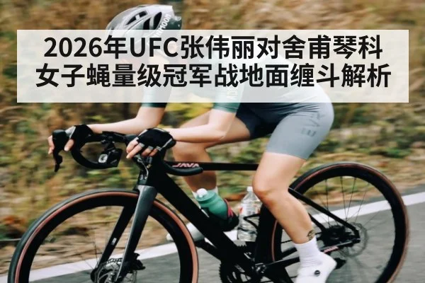 2026年UFC张伟丽对舍甫琴科女子蝇量级冠军战地面缠斗解析
